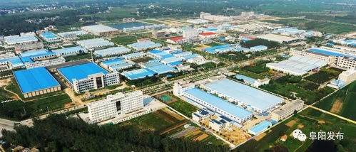 阜陽四個農業項目躋身國家級榜單，地方特色產業發展再添新動力